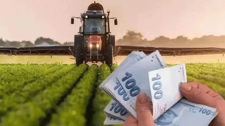 Çiftçilere 865 Milyon Liralık Ödeme Başladı: Tutarlar Bugün Hesaplarda