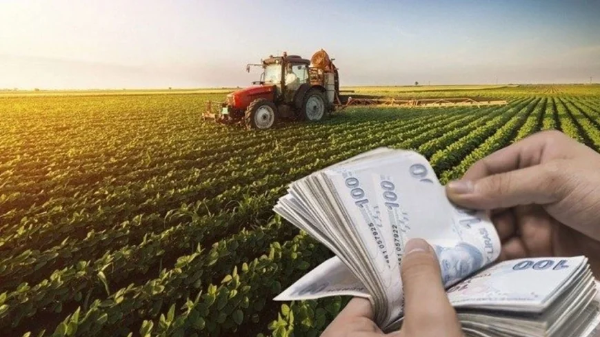 Çiftçiye Rekor Destek! Tarlalara 7,3 Milyar Lira Tazminat Yatırıldı