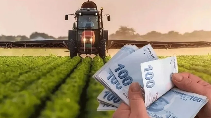 Çiftçilere Müjde: 1 Milyar 735 Milyon TL Destekleme Ödemesi Hesaplara Geçti