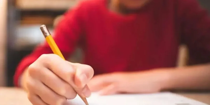 LGS Yerleştirme Sonuçları ve Nakil Takvimi Açıklandı