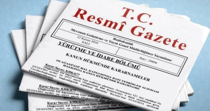 Her Ay 12.000 TL Devlet Desteği! Başvuru İçin Dilekçe Yeterli