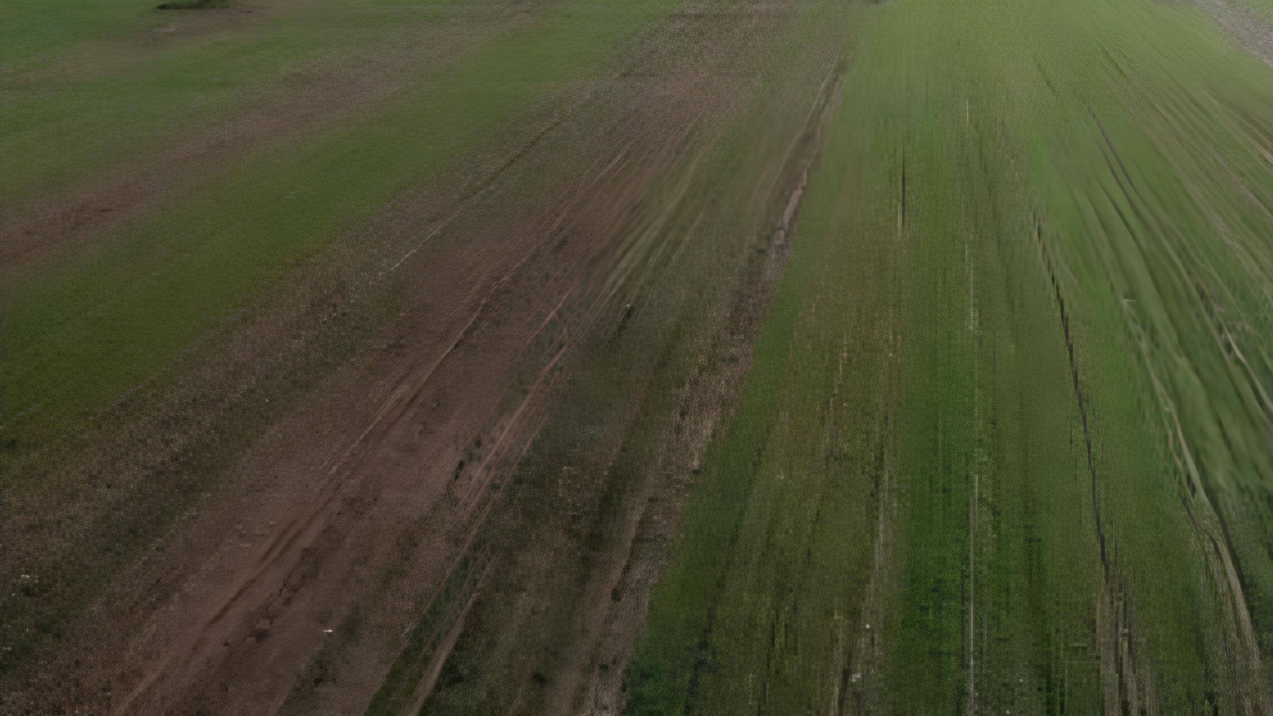 Tarlasında Buldu! Yüzyıllık Sikkeler Gün Yüzüne Çıktı