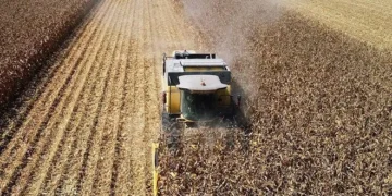 Tarım emtialarında ilk yarı tablosu: Savaş ve iklim etkileri fiyatları belirledi