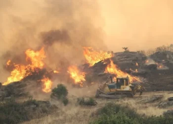 Aydın Bozdoğan’da yangın paniği: 20 ev boşaltıldı