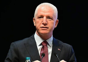 Vali Gül: İstanbul’da sahipsiz hayvanların yüzde 65’i toplandı