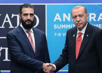 Cumhurbaşkanı Erdoğan, Şara ile görüştü