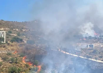Bodrum’da makilik alanda yangın çıktı
