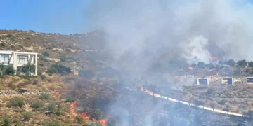 Bodrum’da makilik alanda yangın çıktı